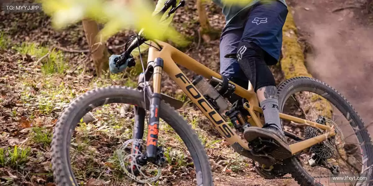 🏆 从看台到赛场，你的每一步都是传奇！🏃♂️